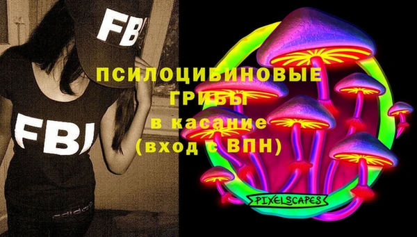 спиды Абаза