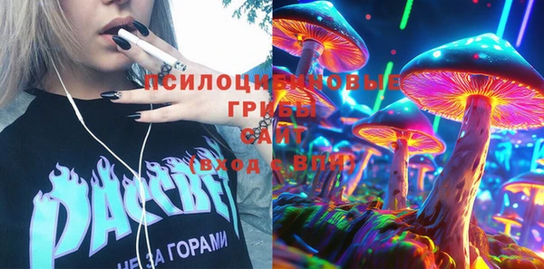 2c-b Алзамай