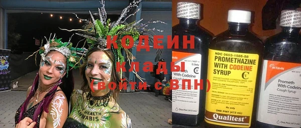 молекула духа Алексин