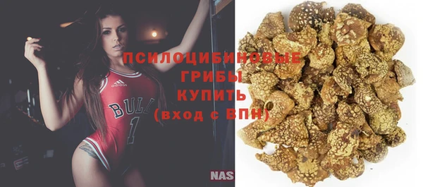 спиды Абаза